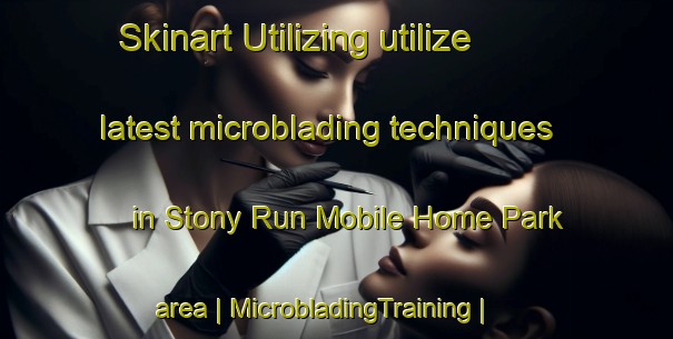 Skinart Utilizing utilize latest microblading techniques in Stony Run Mobile Home Park area | MicrobladingTraining | MicrobladingClasses | SkinartTraining-United States
